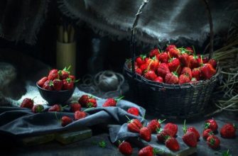 Видеть во сне землянику