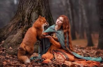 Сонник рыжий кот, собака или лиса. Видеть рыжего, рыжие волосы женщины