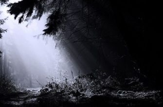 К чему снится Темнота. Сон темнота толкование по сонникам