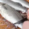 К чему снится Чистить рыбу. Чистить рыбу во сне от чешуи, большую